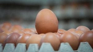 U.S. Requests Increased Egg Exports Amid Bird Flu Crisis