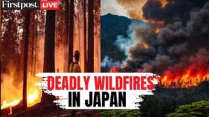 Japan Faces Largest Wildfire Crisis In 30 Years