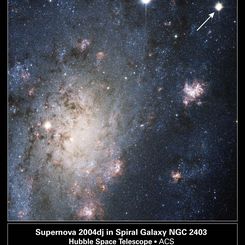 A Supernova in Nearby Galaxy NGC 2403