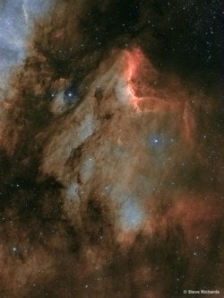 IC 5070: Kuğu’daki Tozlu Pelikan