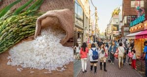 Japan Plans To Release Rice Reserves Amidskyrocketing Prices