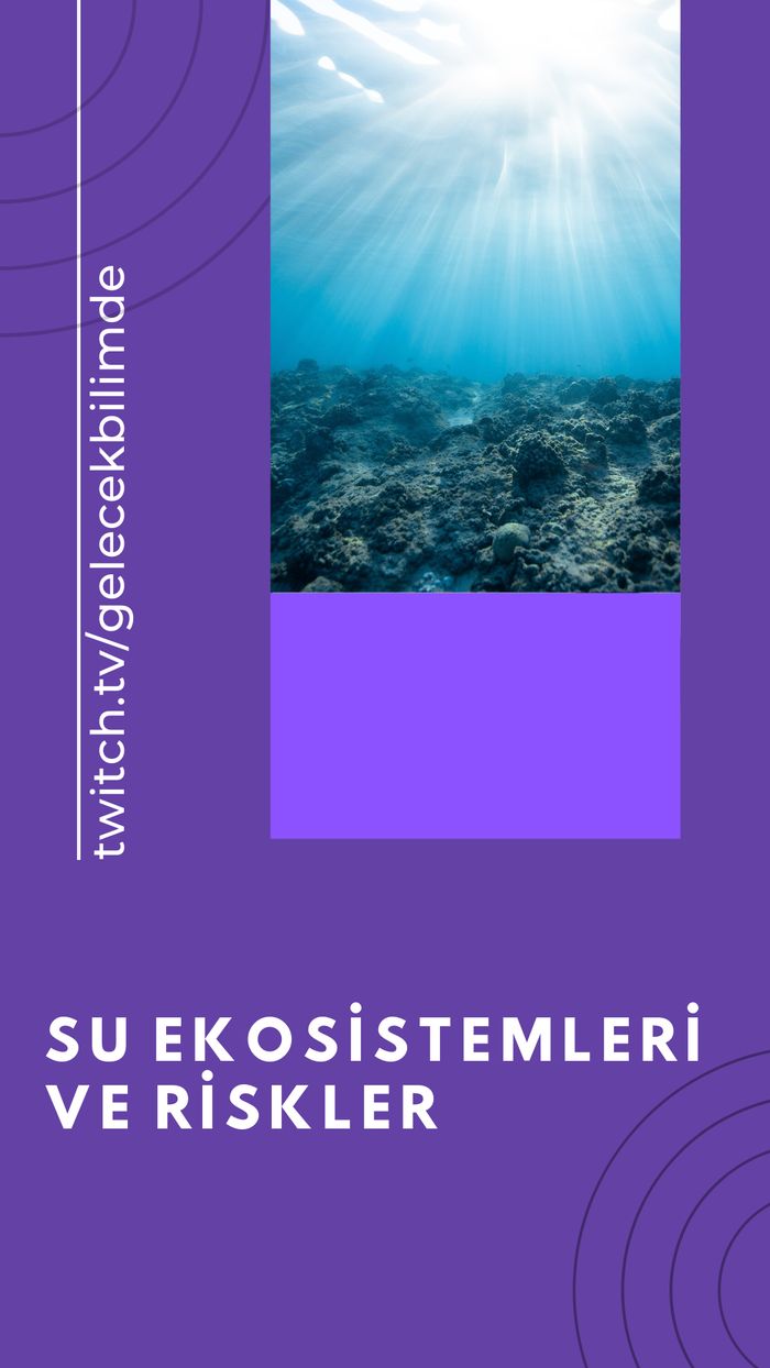 Su ekosistemlerinin barındırdığı riskler nelerdir?