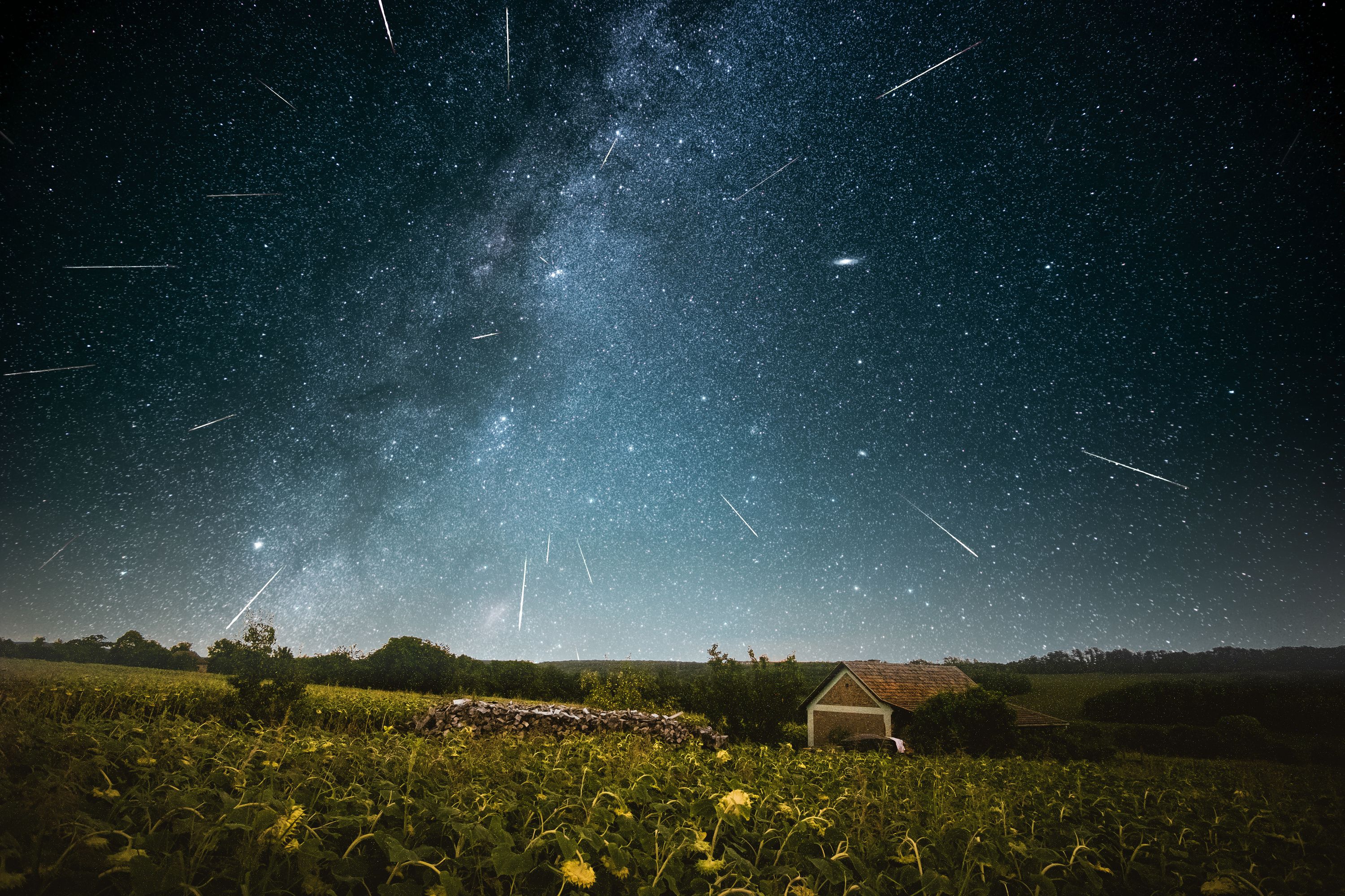 Üç Perseid Gecesi