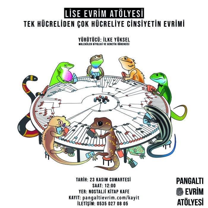 Pangaltı Lise Evrim Atölyesi