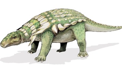 Kanada'da Bulunan Yeni Ankylosaur Fosili Kuzey Amerika'da Yaşadıklarını Doğruluyor!