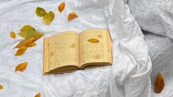 Düşünce Mahkemesi