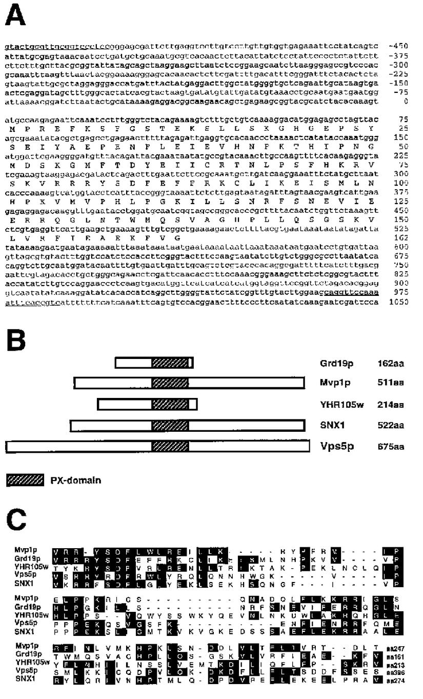 Belirli nükleotit dizilimi bölgelerinin "gen" olarak kategorilendirilmesini gösteren bir araştırma görseli...