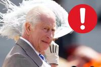Urgent Statement from Buckingham Palace After the Latest on Charles III: 'The King...'
