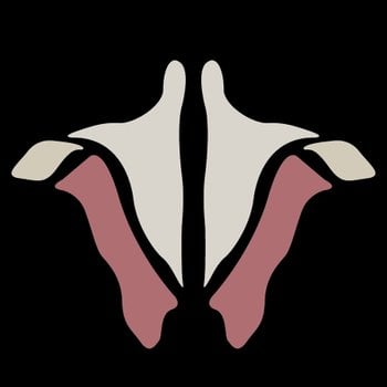 Institute of Human Anatomy