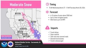 March 1st Holiday Forecasts Rain Affecting Celebrations