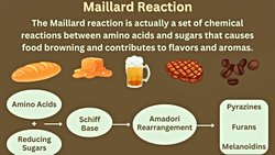 Maillard Reaksiyonu