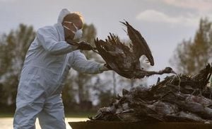 Austria And Germany Battle Worsening Avian Flu Outbreak