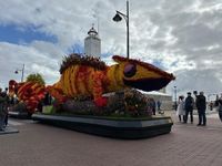 Bloemencorso van de Bollenstreek zaterdagochtend live op BO TV