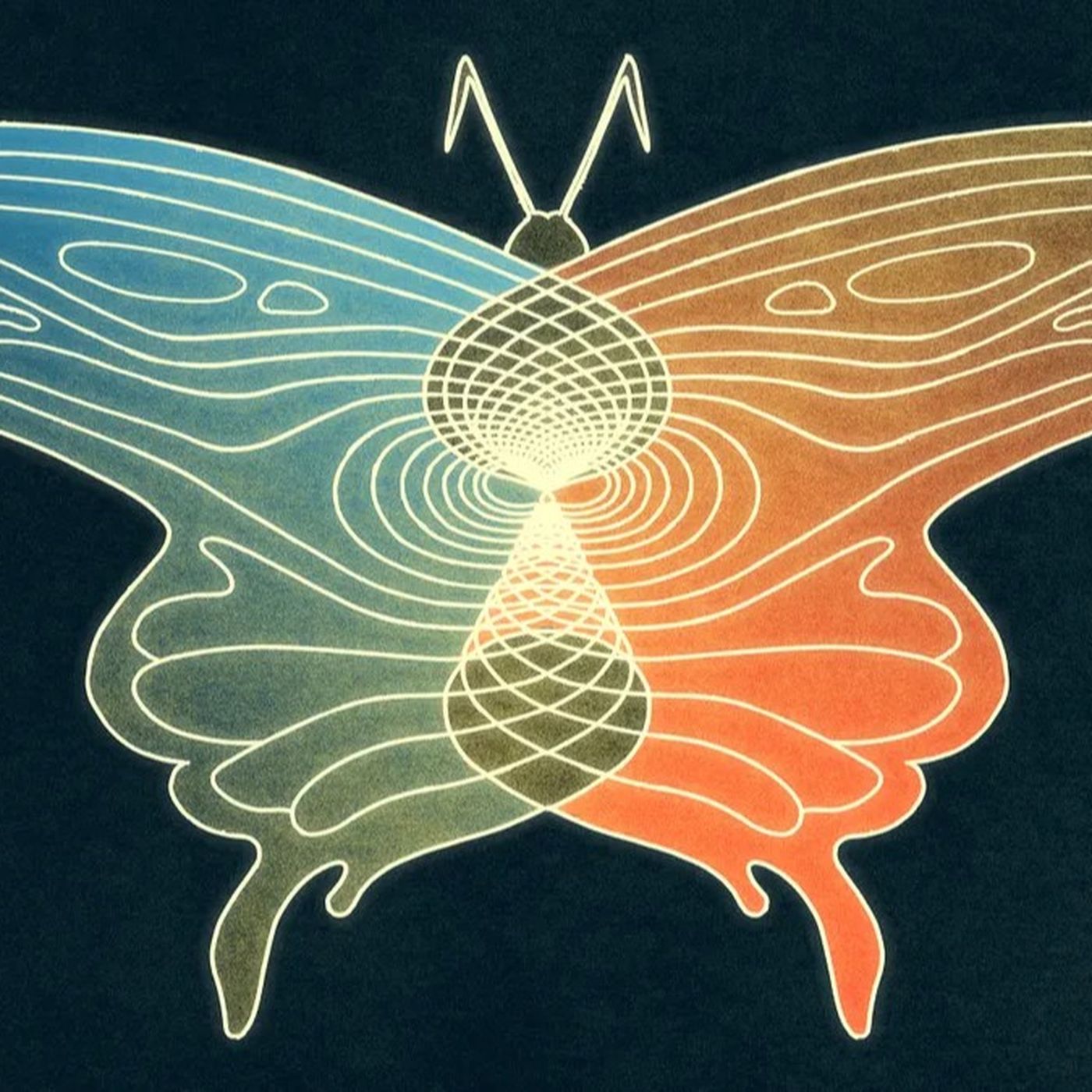 Kelebek Etkisi Nedir? Hava Durumu Tahminleri Uzun Dönemde Neden Tutmuyor?