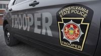 Troopers in Lancaster County say someone shot, killed 3 cows