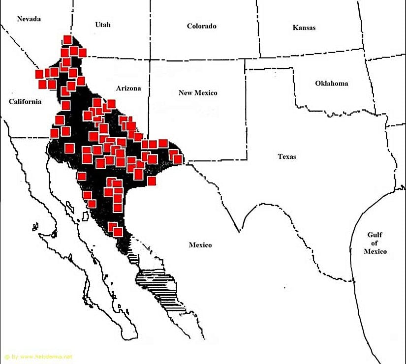 Gila canavarı dağılım alanı.