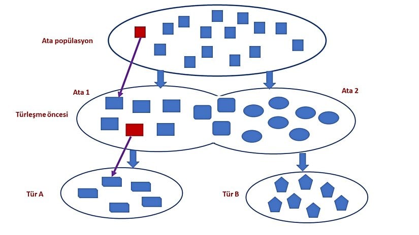 Görsel 1: İdeal durum.