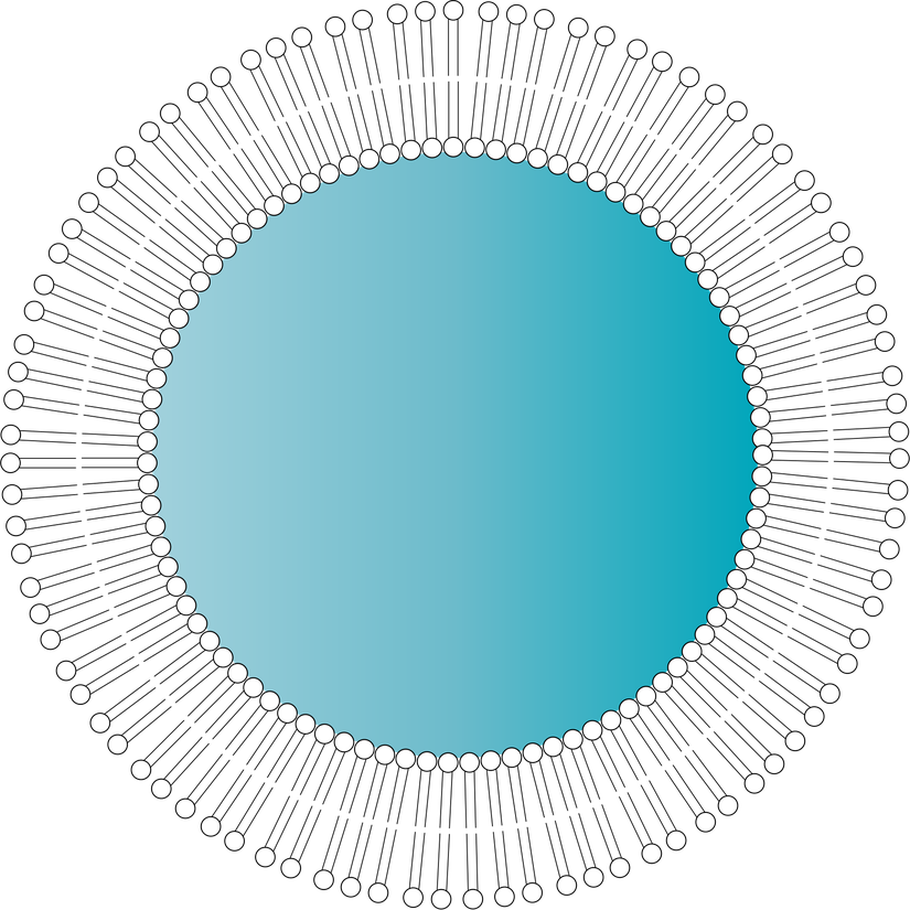 Çift katlı fosfolipit tabakasıyla çevrili misel küreciği