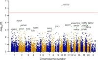 Rare loss-of-function variants in HECTD2 and AKAP11 confer risk of bipolar disorder - Nature Genetics