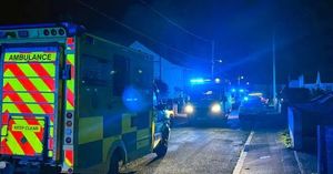 Nine Month Old Baby Dies In Monmouthshire Dog Attack