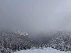 Mountain Rescuers Save 28 Tourists During Holiday Surge