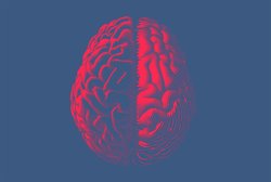 Araştırmalar Son 13 Yılda Flynn Etkisinin Tersine Döndüğünü Gösteriyor!