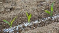 Lawmakers Reintroduce the Fertilizer Research Act