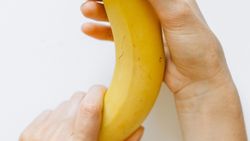 Penis Boyutu