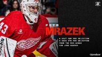 Ducks Acquire Mrazek, Second and Fourth Round Picks From Detroit for Gibson  | Anaheim Ducks