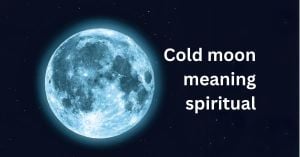 December Holds Last Full Moon Of 2024: The Cold Moon