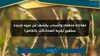 مفاجأة مذهلة: واتساب يكشف عن ميزة جديدة ستغير تجربة المحادثات بالكامل! - مصر بوست
