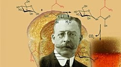 Maillard Reaksiyonu: Gıdalarda Aroma Oluşumu ve Esmerleşme