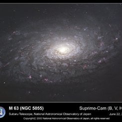 M63: Ayçiçeği Gökadası