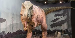 Dinosaurs Live Exhibition Touches Down In Rome