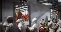 Trump to quadruple Argentine beef imports while US ranchers fume