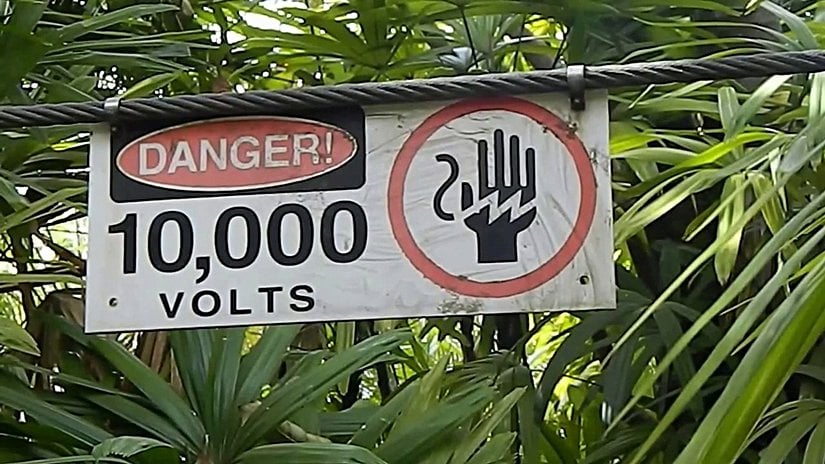 Jurassic Park (1993) filminden bir sahne