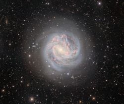 M83: Güney Fırıldağı
