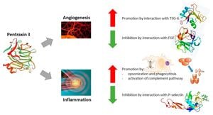 Pentraxin 3: A Key Factor Exacerbates Pancreatitis Injury