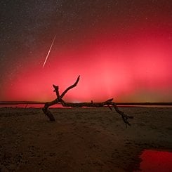 Florida Northern Lights