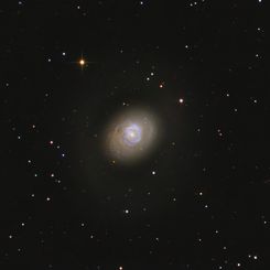 Starburst Galaxy M94