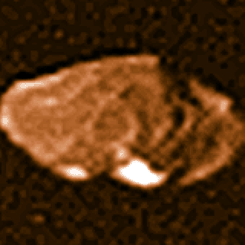 Jupiter's Moon Amalthea