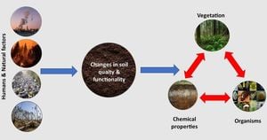 The Effect Of Human Activities On Mammals' Circadian Rhythms