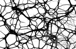 Sinirbilim ve Beyin - 2: Sinir Sisteminde Bulunan Hücrelerin Tipleri