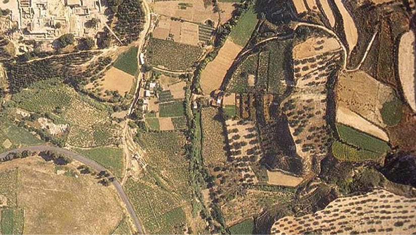 Tarımsal Uygulamalar ve Yönetim Anlayışları Son 10.000 Yılda Gelir Eşitsizliğini Nasıl Şekillendirdi?