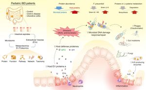 New Framework Revolutionizes Study Of Gut Microbiome Interactions