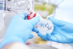 Bilim İnsanları Taş Devri Moleküllerini Canlandırıyor