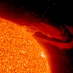 A Solar Prominence Unfurls