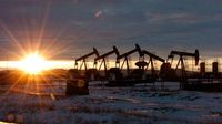 85 climate scientists refute Trump administration report downplaying climate change