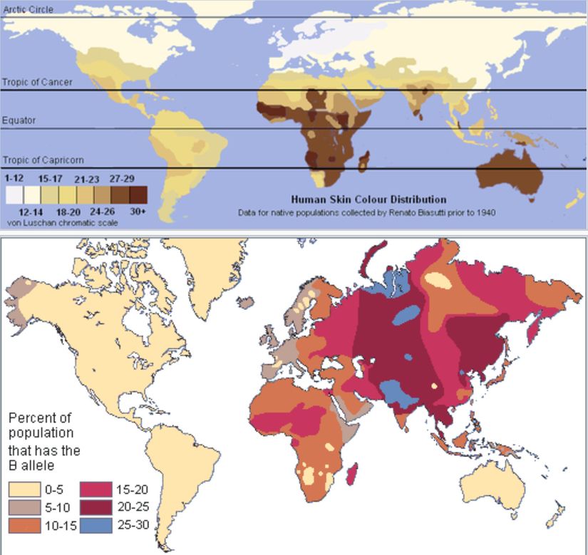Deri renklerinin 1940 öncesindeki coğrafi dağılımı (üstte) ile B tipi kan grubunun coğrafi dağılımı (altta) arasında hiçbir korelasyon bulunmamaktadır.