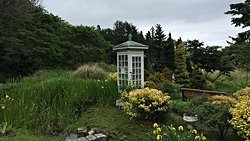 Rüzgar Telefonu: Yas Tutmanın Evrensel Yolu